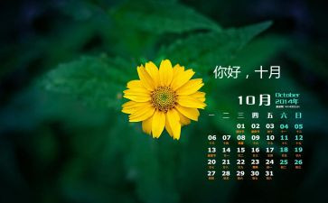 酒店10月份工作总结5篇