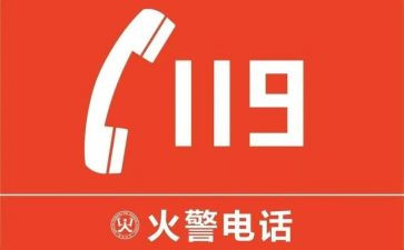 物业119工作总结模板5篇