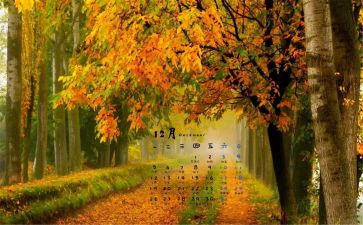 学生12月总结8篇