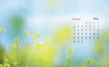 12月份安全工作总结6篇