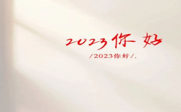 2023安保队长年终总结6篇