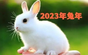2023年工作年终总结报告优秀6篇