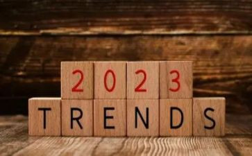 2023年一年级下册语文教学总结5篇