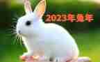 人事2023年度工作总结优秀7篇