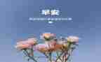 幼儿大班3月份月计划7篇