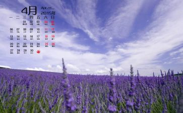 销售4月总结精选8篇