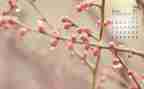 幼儿园小班4月份工作总结6篇