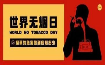 531个人总结7篇