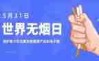 教师531培训总结模板6篇