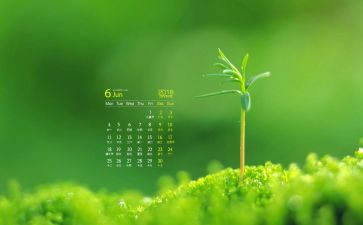 6月心得推荐5篇