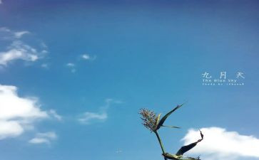 2024年9月班主任工作总结5篇