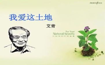 艾青《桥》的读后感模板6篇