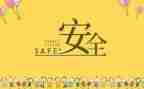 对安全的心得体会范文最新7篇
