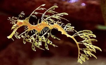 我的生物老师作文5篇