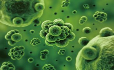 生物月总结模板7篇