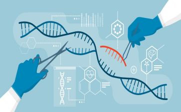 生物柜工作总结精选7篇
