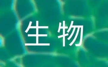 生物优秀教案8篇