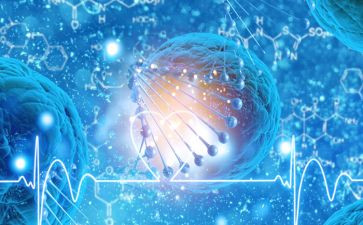 生物的进化教案7篇