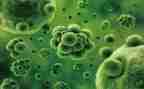 生物月总结模板7篇