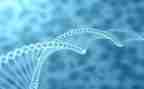 生物教师学期工作计划5篇