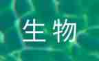 个人生物教学总结6篇