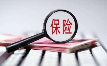 保险的个人总结7篇