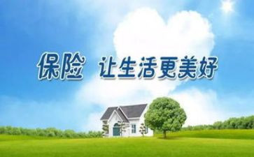 保险的心得推荐6篇