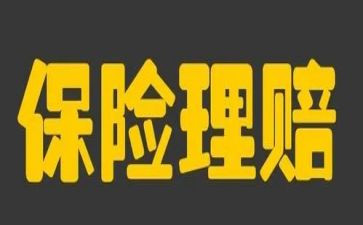 保险的个人总结优秀6篇
