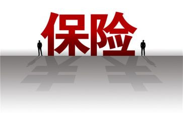 保险公司年终个人总结范文5篇