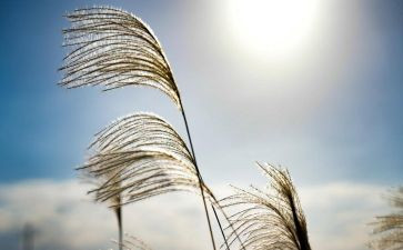 把握青春作文6篇