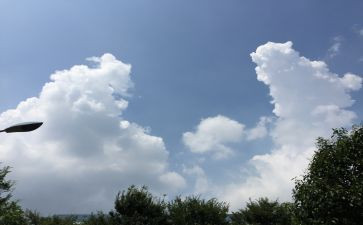 吃的变化作文优质5篇