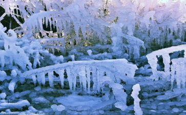 清冰雪活动总结7篇
