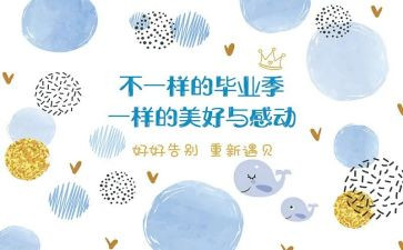 毕设生个人总结模板7篇