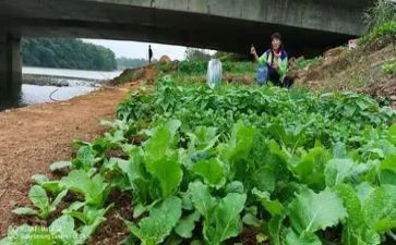 传菜员的个人总结7篇
