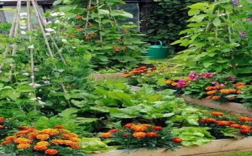 蔬菜供货合同5篇