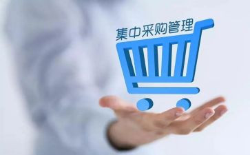 采购部年终述职报告6篇