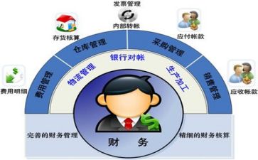 财务会计个人简历模板7篇