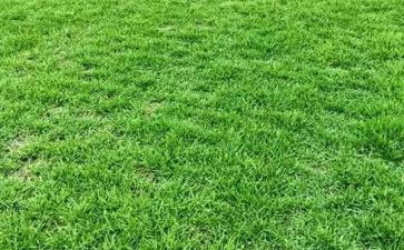 古诗《草》的教案优秀6篇