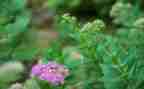读草原后感作文优秀8篇