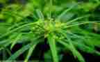 400字草房子读后感8篇