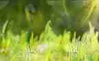 草原的小木屋的读后感通用8篇
