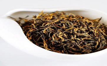 茶的培训总结最新8篇