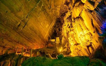 我的长生果的教案6篇