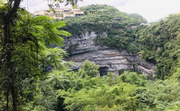 我的长生果的教案精选6篇