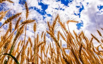 成熟的标志的作文8篇