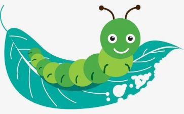 《昆虫记》灰毛虫读后感6篇