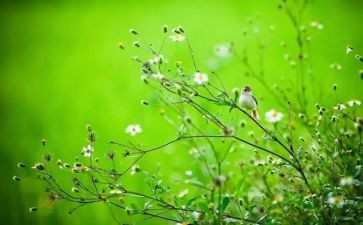 春节作文400字推荐5篇