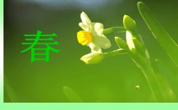 过春天教案推荐6篇