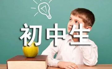 初三历史教学计划参考6篇