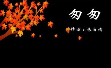 匆匆的读后感的作文7篇